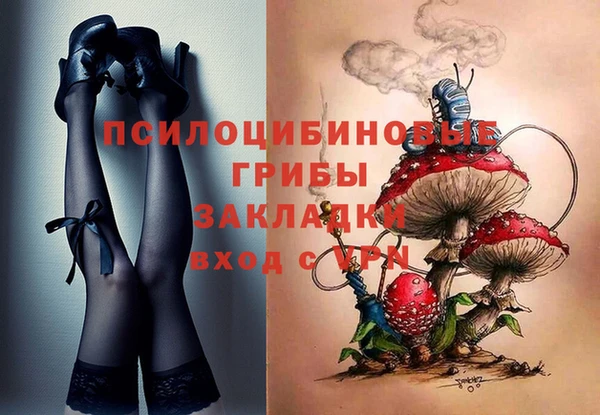 спиды Бугульма