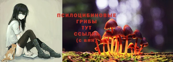 амф Бронницы