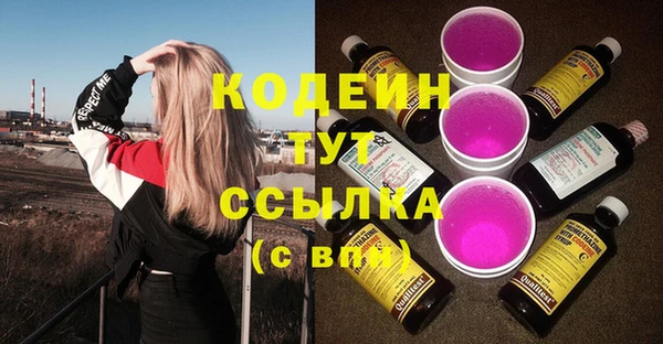 прущие крисы Бородино