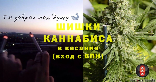 прущие крисы Бородино