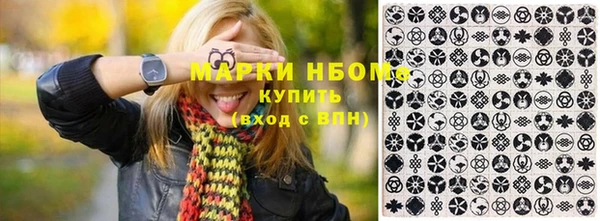 прущие крисы Бородино