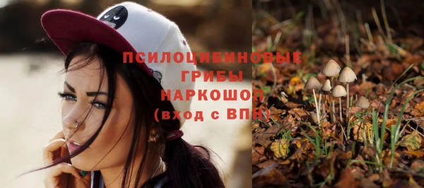 спиды Бугульма