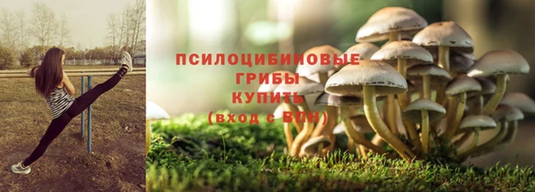 прущие крисы Бородино