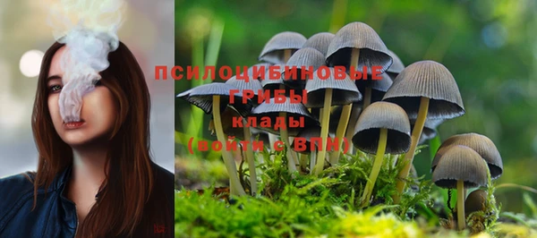 гашик Санкт-Петербург