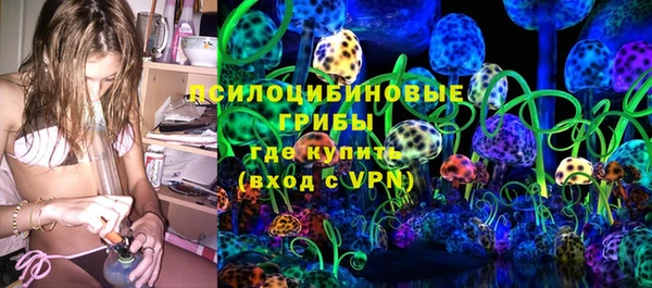 прущие крисы Бородино