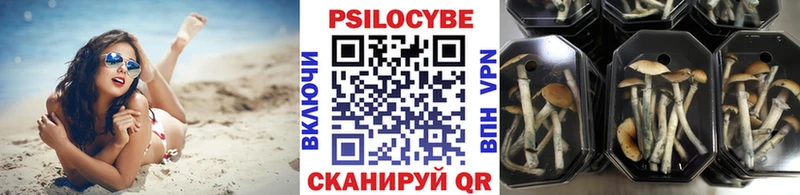 Псилоцибиновые грибы Magic Shrooms  Гороховец 
